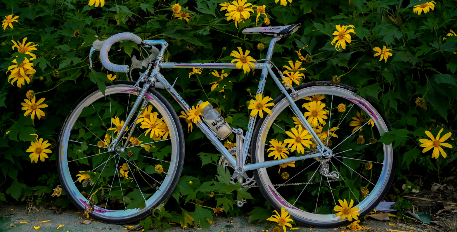 10 razloga zašto trebaš kupiti bicikl ovog proljeća
