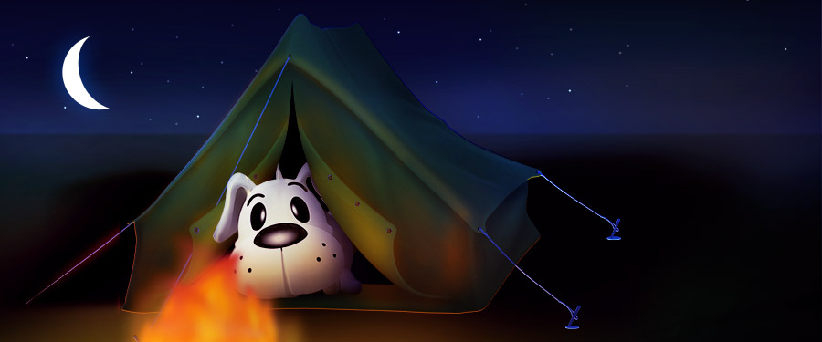 Kampiranje je "majka ljetovanja"!