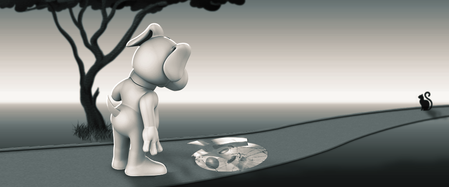 Najčešća praznovjerja mojih dvonožnih prijatelja!