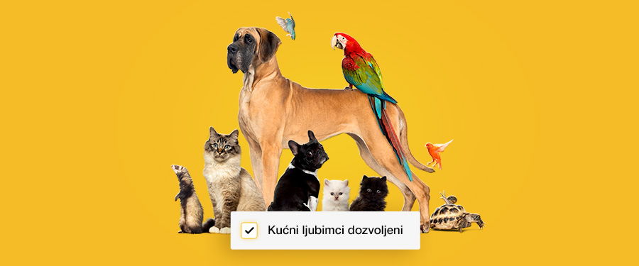 Još lakše do stana za krznene članove obitelji!