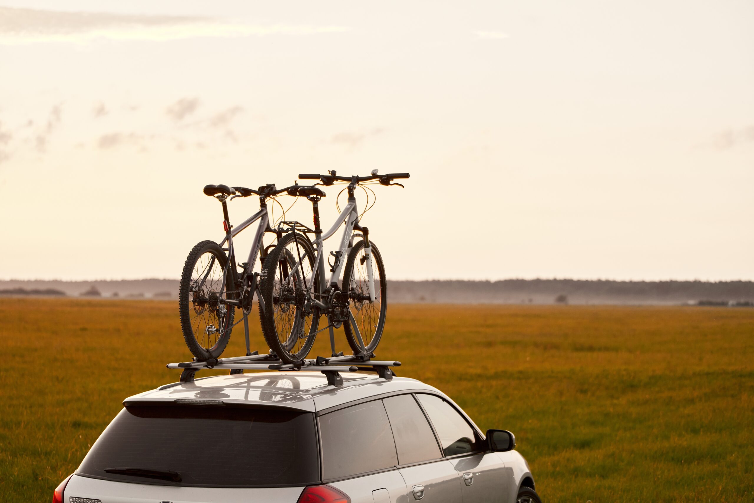 Ljetno njuškanje – najtraženiji pojmovi, nova priča!